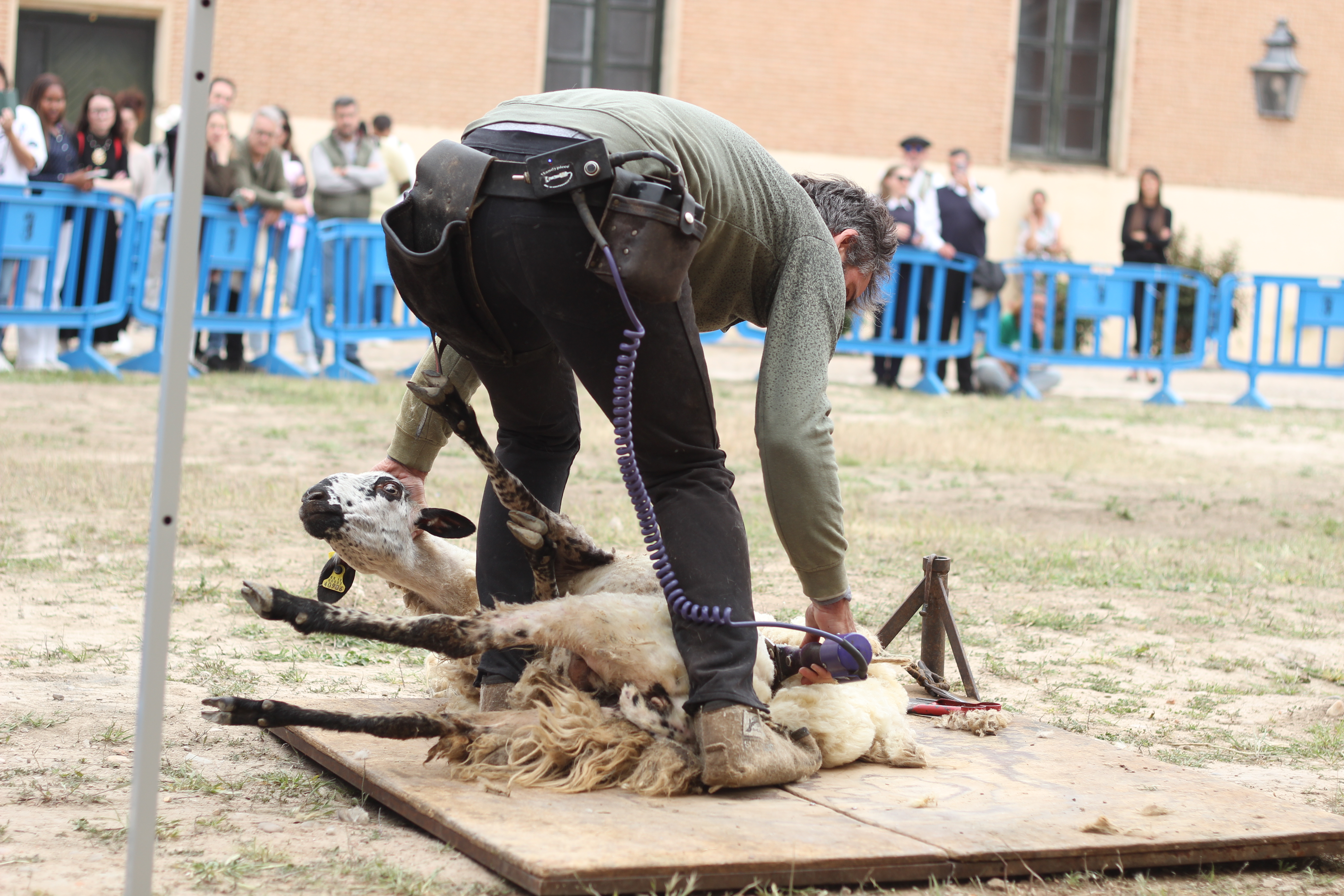 Event Gallery - IYRP 2026